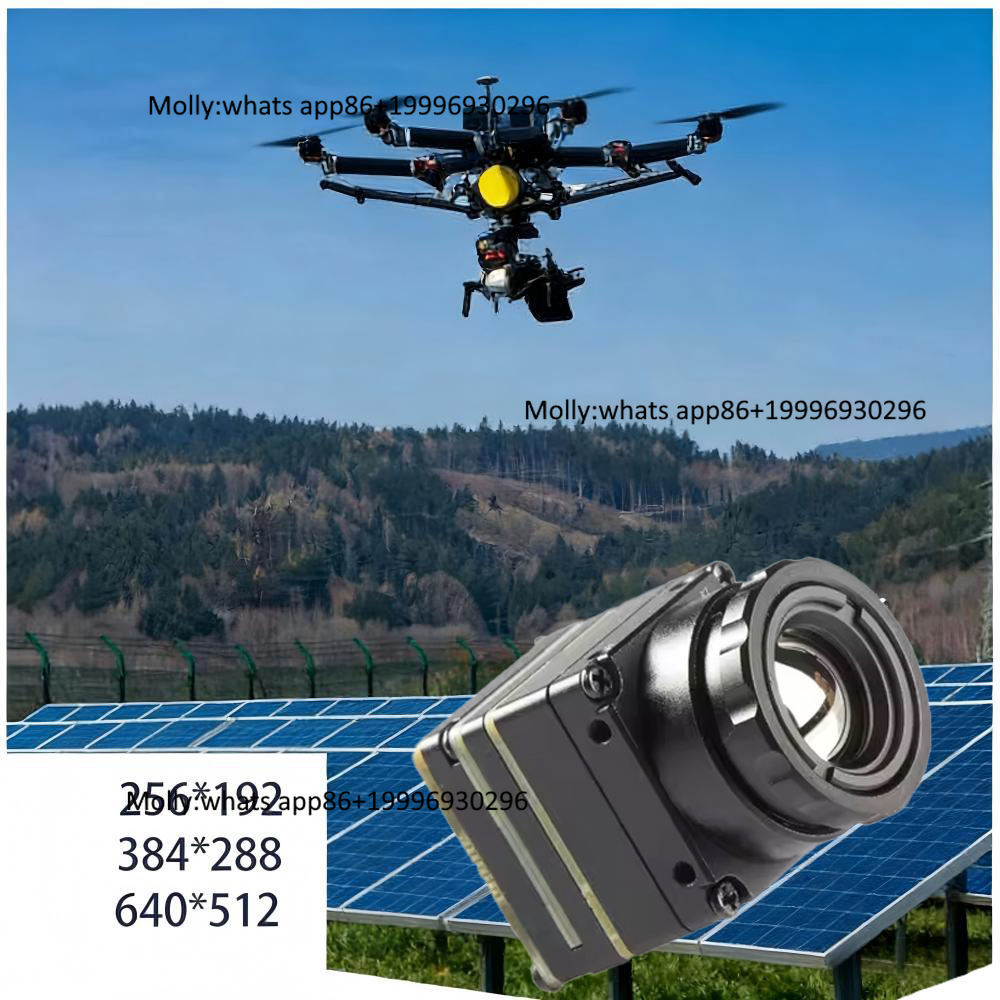 Mini Módulo de Cámara Térmica  - Thermal Camera Type C 384X288 reseña y precio